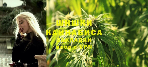 Альфа ПВП Каменка