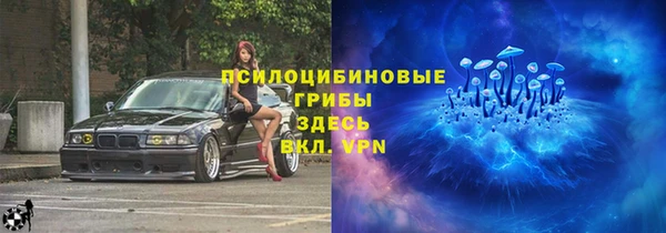 Альфа ПВП Каменка
