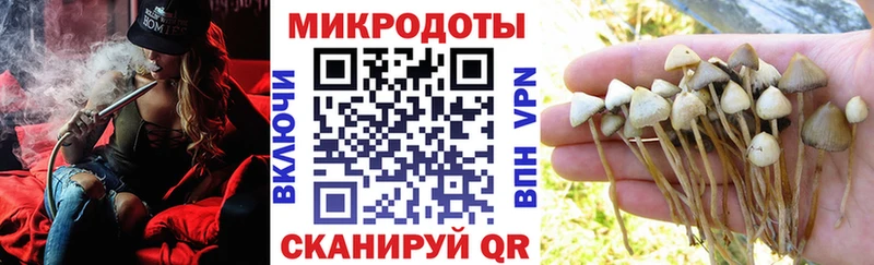 Купить  Железноводск  Галлюциногенные грибы мицелий 