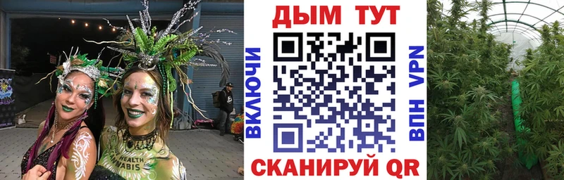 Купить где Железноводск Марихуана план